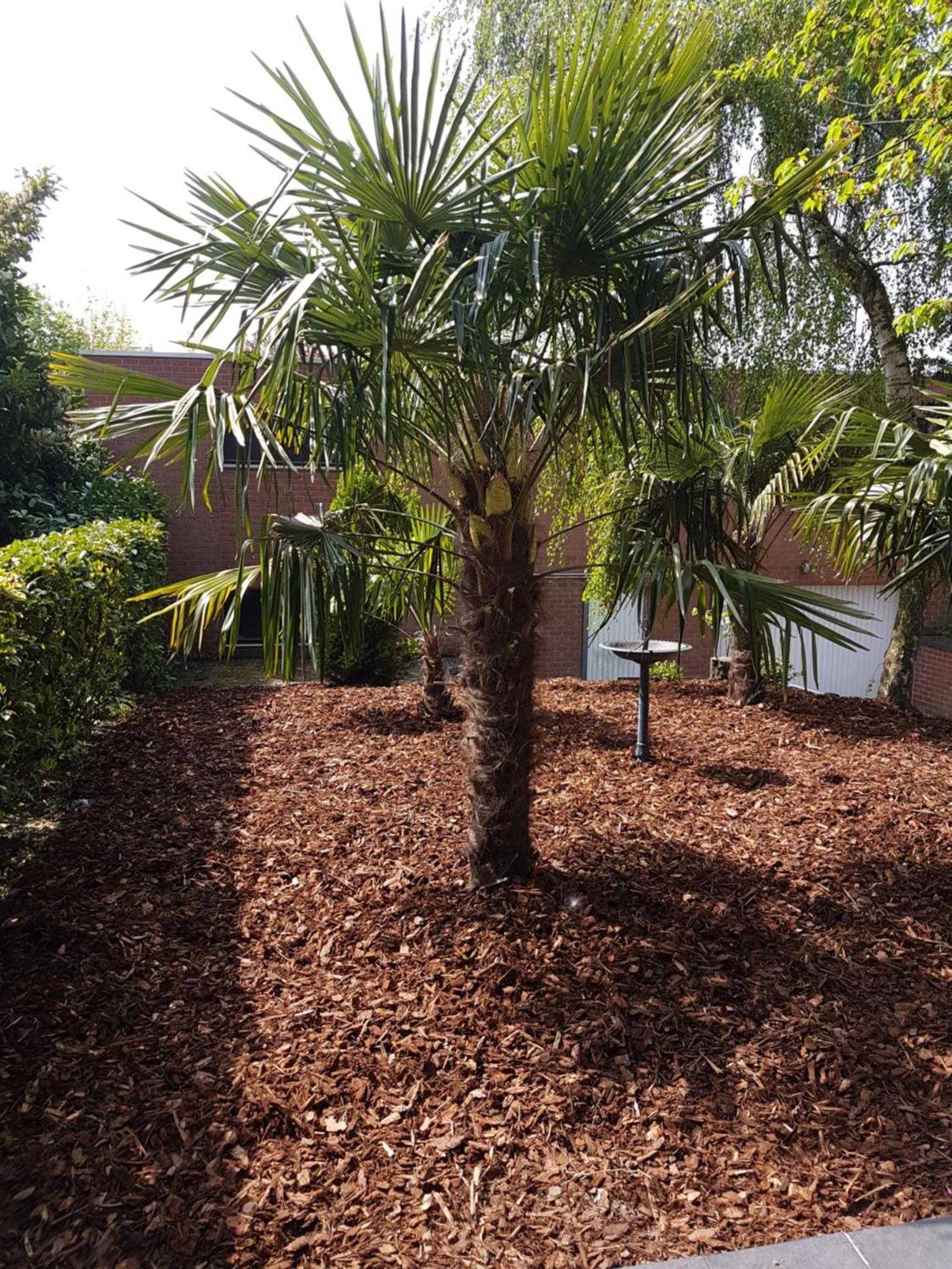 Homestay Gent-Merelbeke Self Check-In Service Melle Екстериор снимка